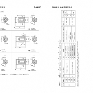 BM3系列擺線液壓馬達(dá)