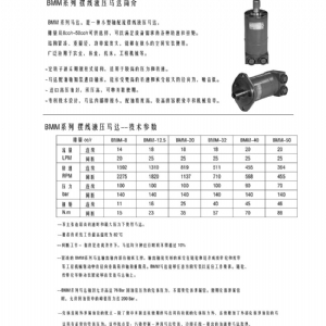 BMM系列擺線液壓馬達(dá)